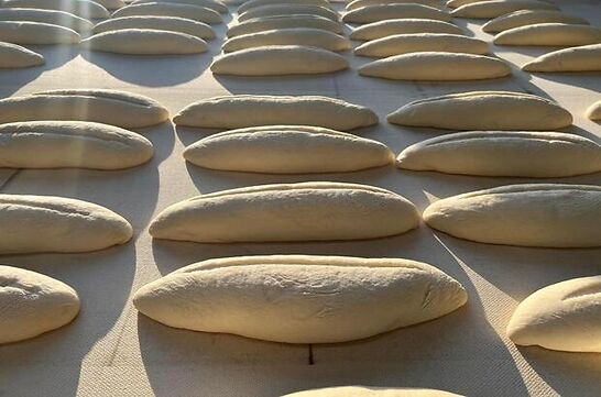 Ergene Belediyesi Halk Ekmek Frnmz Ala Hazrlanyor..