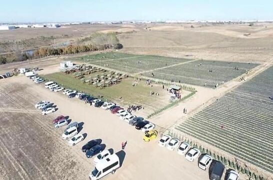 ilek Tarlamza Halkmzdan Byk lgi..