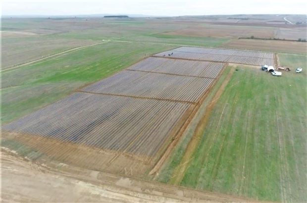 Trakyann En Byk ilek Tarlas ile Halkmza Hizmet Edeceiz.