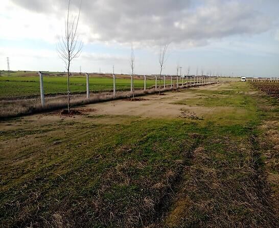 Yeni Sezonda Ihlamur Kokusu Eliinde ilek Toplama Keyfi Sizleri Bekliyor..