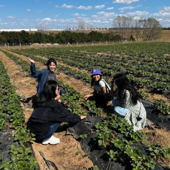 ilek Tarlamz Ziyaret Eden Gney Koreli Misafirlerimiz