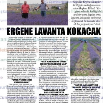 Ergenede Lavanta Hasad Yapld.