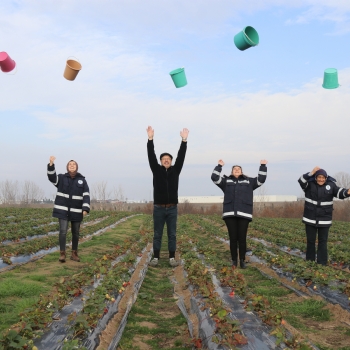 Kral �ilek Tarlas� Sezon Finali