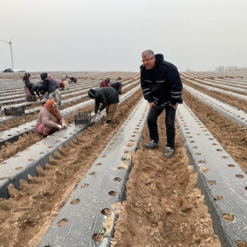 Trakyann En Byk ilek Tarlas ile Halkmza Hizmet Edeceiz.