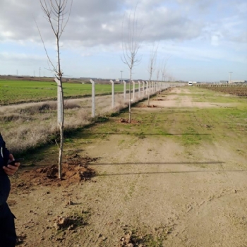 Yeni Sezonda Ihlamur Kokusu Eliinde ilek Toplama Keyfi Sizleri Bekliyor..