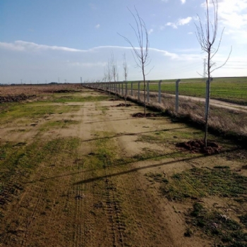 Yeni Sezonda Ihlamur Kokusu Eliinde ilek Toplama Keyfi Sizleri Bekliyor..