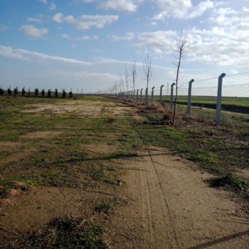 Yeni Sezonda Ihlamur Kokusu Eliinde ilek Toplama Keyfi Sizleri Bekliyor..