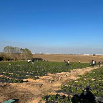 �ilek Tarlam�za Halk�m�zdan B�y�k �lgi..