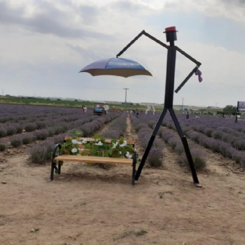 Ergenede Lavanta Hasad Yapld.