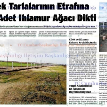 Yeni Sezonda Ihlamur Kokusu Eliinde ilek Toplama Keyfi Sizleri Bekliyor..