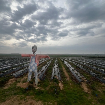 Ergene Belediyesi Kral ilek Tarlas Yeni Sezona Hazrlanyor