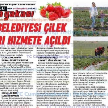Ergene Belediyesi Kral �ilek Tarlas� Hizmetinizde..