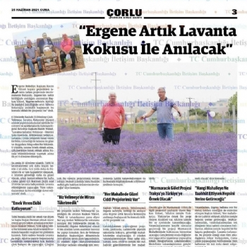 Ergenede Lavanta Hasad Yapld.